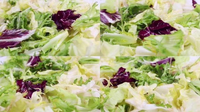 不同的新鲜绿色和红色生菜切沙拉叶旋转与倒橄榄油特写