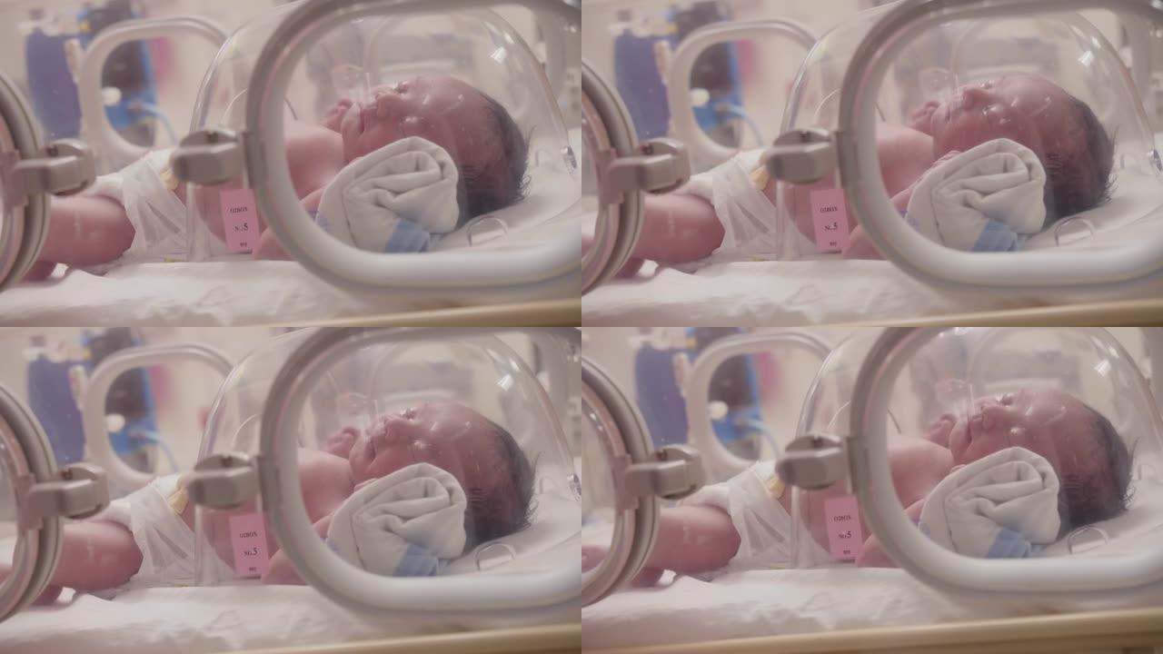 特写新生儿孵化器中的新生儿婴儿，新生儿出生后有呼吸问题的新生儿，新生儿重症监护病房的新生儿，新生儿重