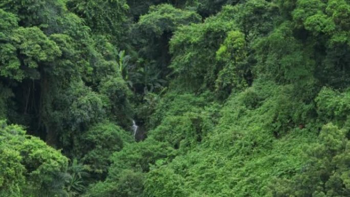 夏季美丽的热带森林山地景观的航拍画面