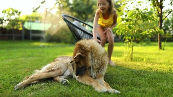 狗躺在草地上，可爱的小女孩放下手机