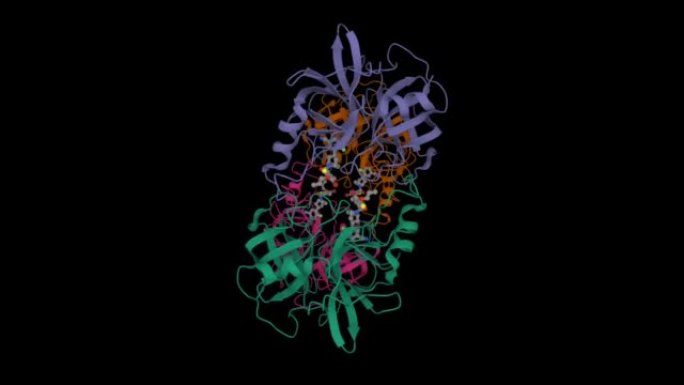 人 β-类胰蛋白酶的结构与合成抑制剂与troanylamide支架复合。