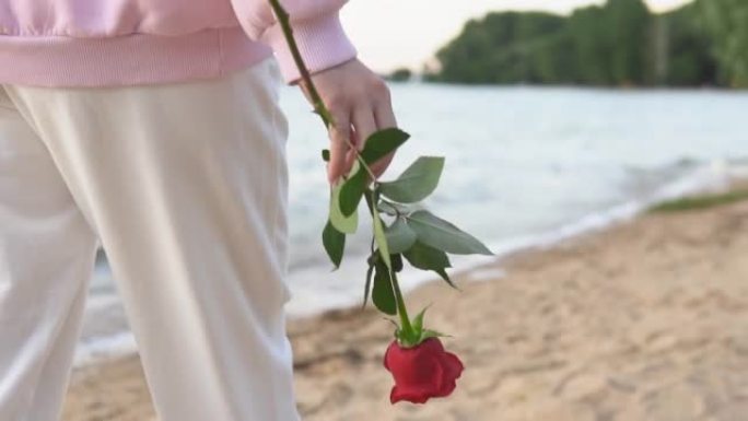 年轻女子走在沙滩上，手里拿着一朵红玫瑰。浪漫，生日快乐礼物。