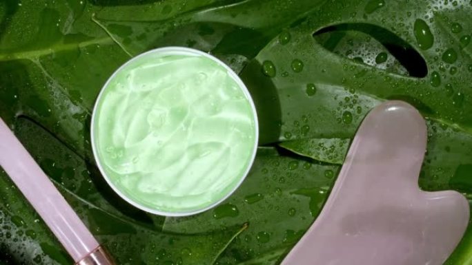 绿色化妆霜，在热带树叶的背景上旋转。宏观拍摄。美容健康和皮肤护理的概念，为身体，脸部。天然有机化妆品