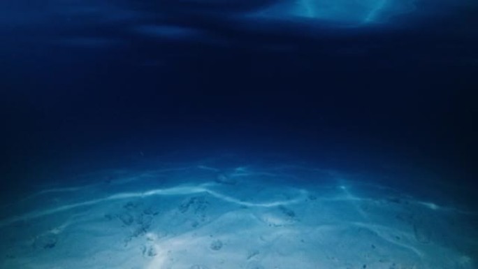 夜海。带有波浪和涟漪的夜海和沙底的水下视图