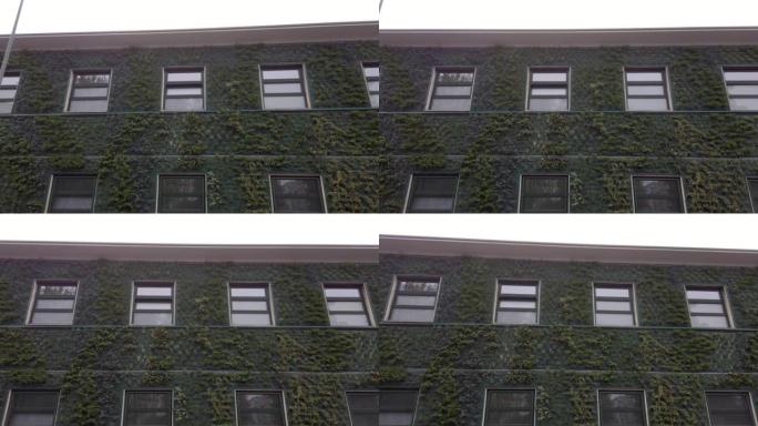 Giambellino区一座带窗户的建筑物的墙壁上建造的垂直森林植物花园-绿色革命和生态可持续节能建
