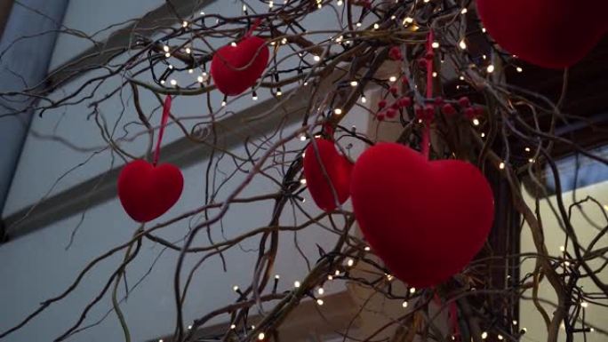 灯笼花环中的柳枝上红色天鹅绒心的特写镜头，情人节的节日装饰。城市装饰精美的商店橱窗。城市景观，雪中的