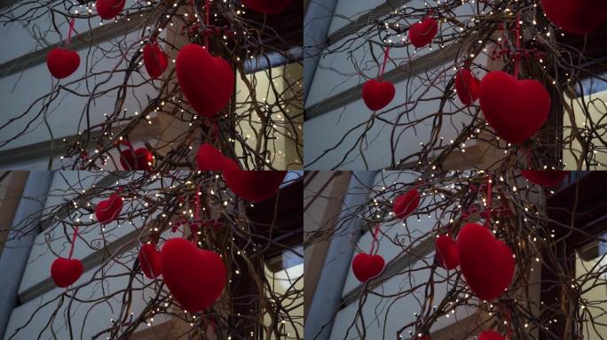 灯笼花环中的柳枝上红色天鹅绒心的特写镜头，情人节的节日装饰。城市装饰精美的商店橱窗。城市景观，雪中的
