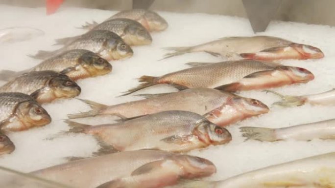在覆盖着冰的冷藏柜台上，许多美丽的新鲜鱼类的特写镜头
