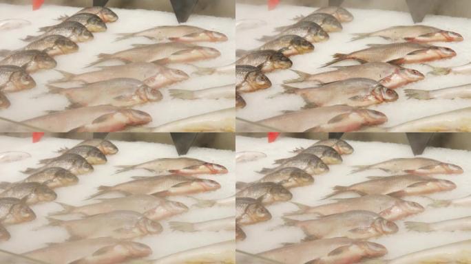 在覆盖着冰的冷藏柜台上，许多美丽的新鲜鱼类的特写镜头