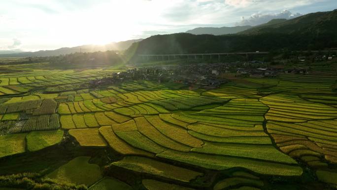 夕阳下的金色稻田和村庄