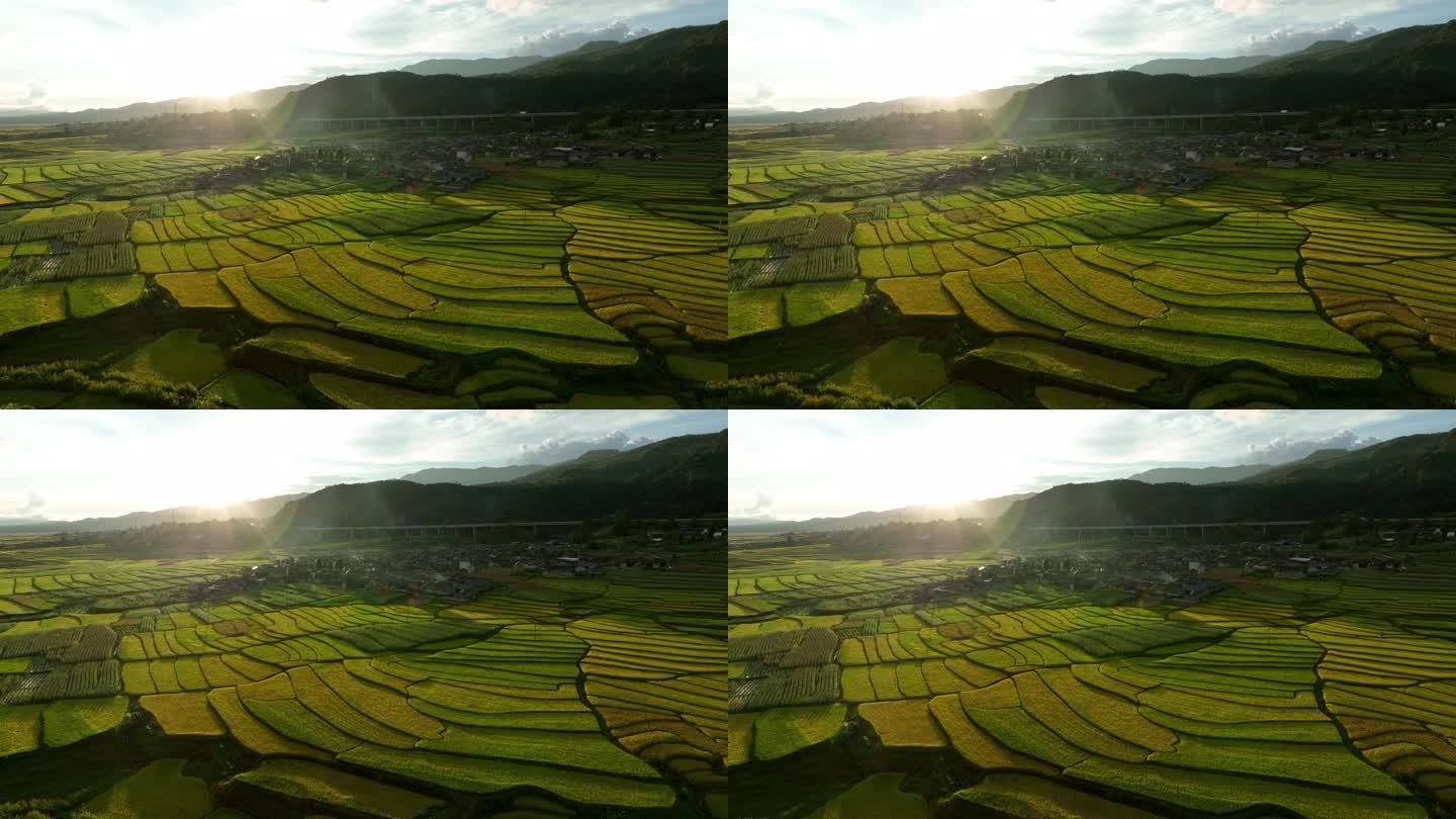 夕阳下的金色稻田和村庄