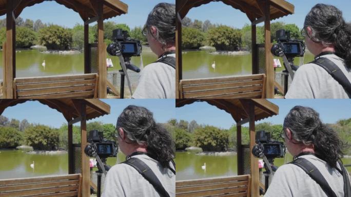 自然摄像师在公园的绿湖射鸟