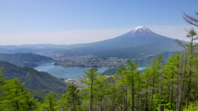 从新鲜的绿色新道山口看到富士山和川口湖