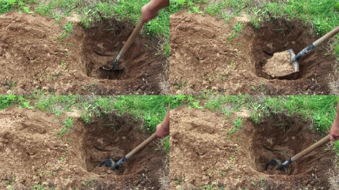 一个人熟练的手近距离用铲子挖洞种植。
