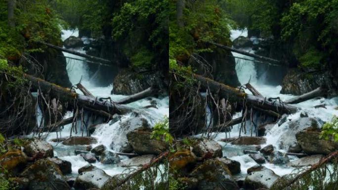 格拉瓦瀑布附近的山河，倒下的树木和蓝色的冰融化了水。奥地利斯图拜