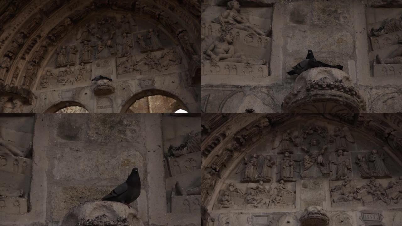 Larchant教堂废墟上的鸟类