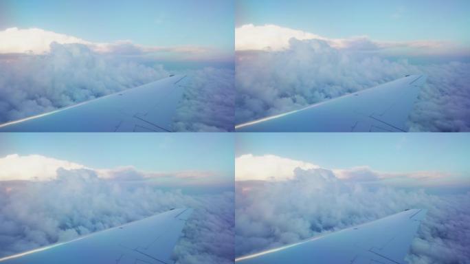 从飞机上看热带森林