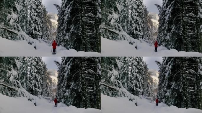 在高山冬季森林中，单身女子雪鞋行走