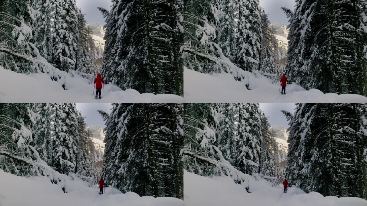 在高山冬季森林中，单身女子雪鞋行走