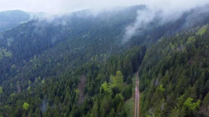 在法国孚日，用伐木工人拖拉机在一片喜怒无常的白云山上的黑暗森林小径鸟瞰图4K