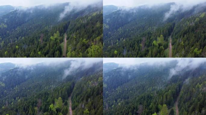 在法国孚日，用伐木工人拖拉机在一片喜怒无常的白云山上的黑暗森林小径鸟瞰图4K