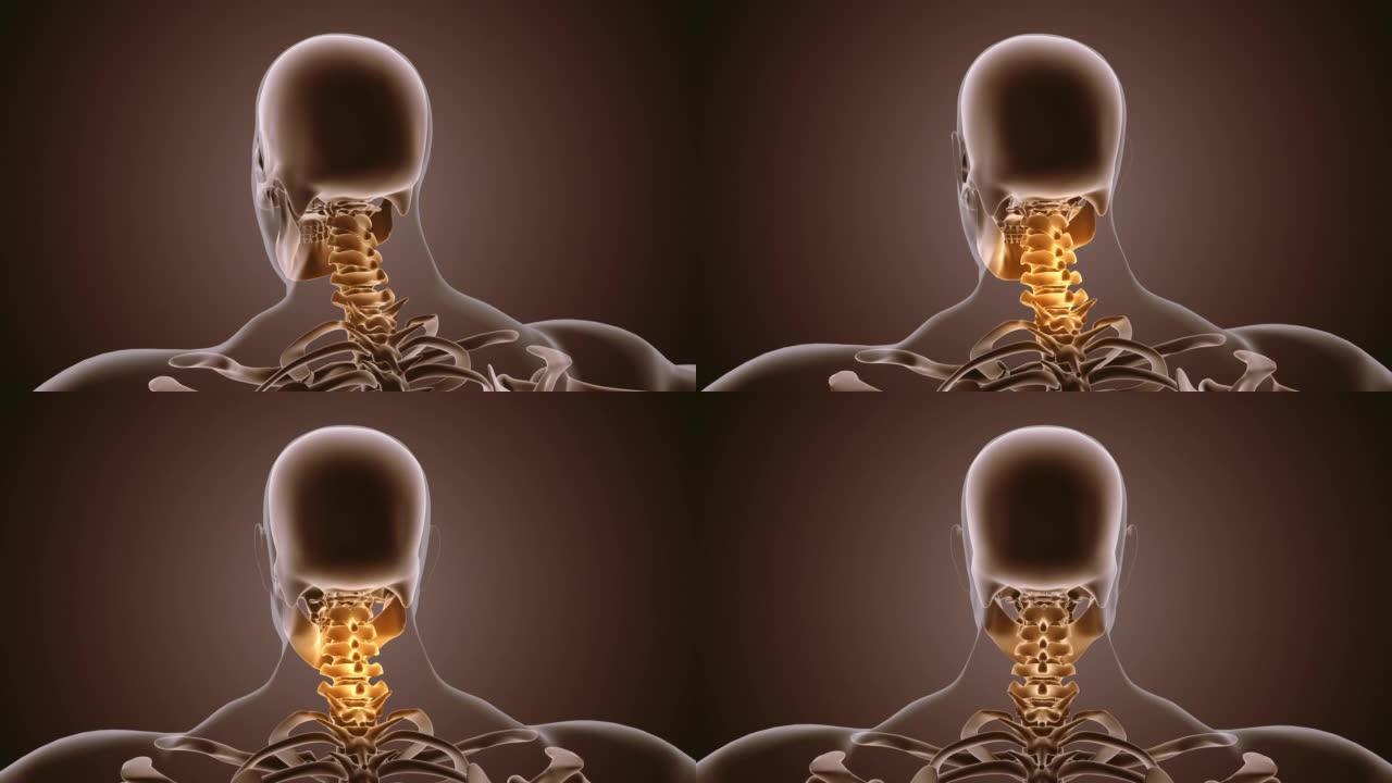 颈部疼痛医学动画背景
