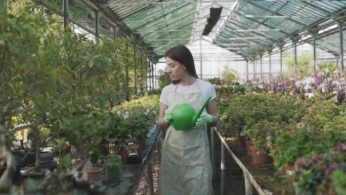 快乐的女性花店在围裙浇灌室内植物和鲜花。这个女孩在温室里照顾室内植物。照顾鲜花