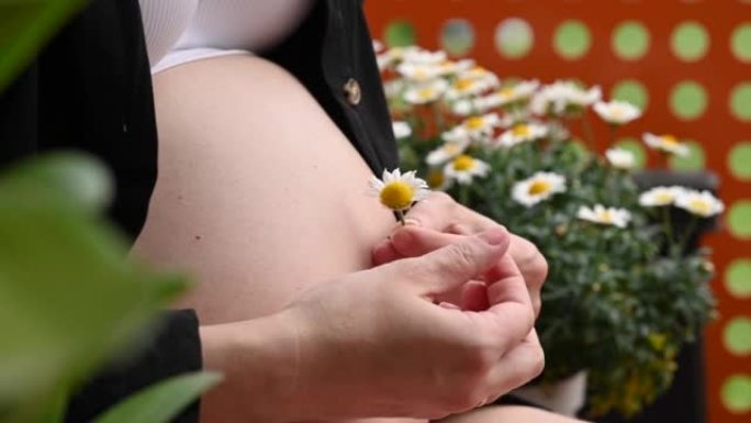 花园里坐着雏菊花的孕妇