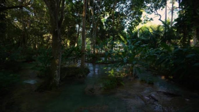 牙买加|奥乔里奥斯海岸|邓恩河瀑布公园|宁静花园。