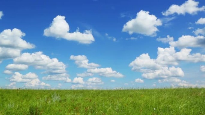 背景与绿色草地下的蓝天与云