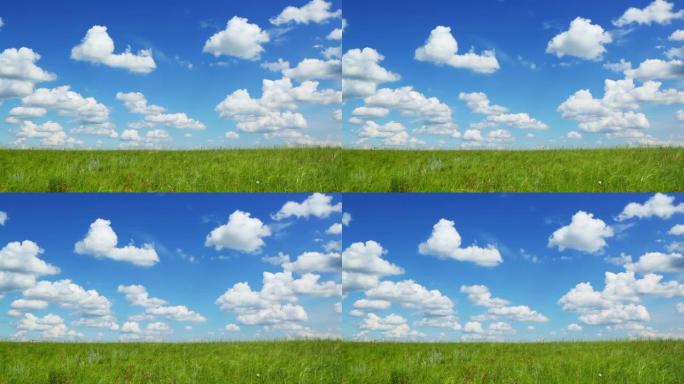 背景与绿色草地下的蓝天与云