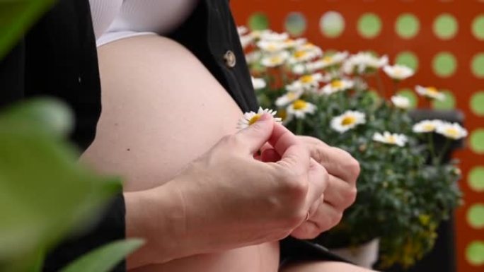 花园里坐着雏菊花的孕妇