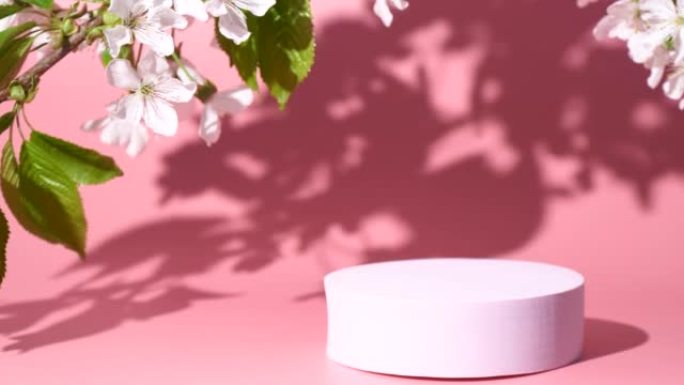 粉色裙楼和樱花开花，树叶阴影，产品设计模型
