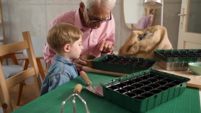 祖父为播种准备种子，而他蹒跚学步的孙子则为他提供帮助