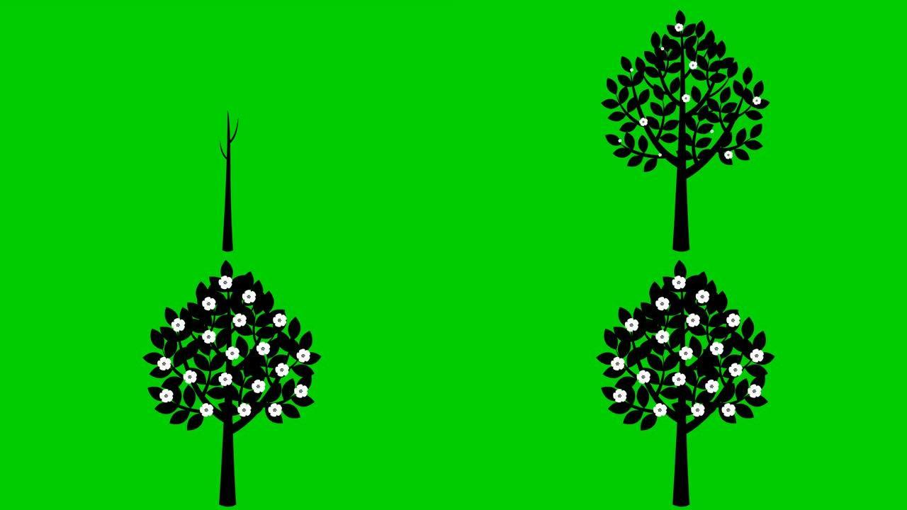 黑色的树逐渐生长，叶子出现在树枝上。白花盛开。黑色符号。春天的概念。孤立在绿色背景上的平面矢量插图。