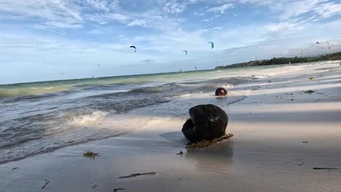 椰子在沙滩上的海浪上摇摆