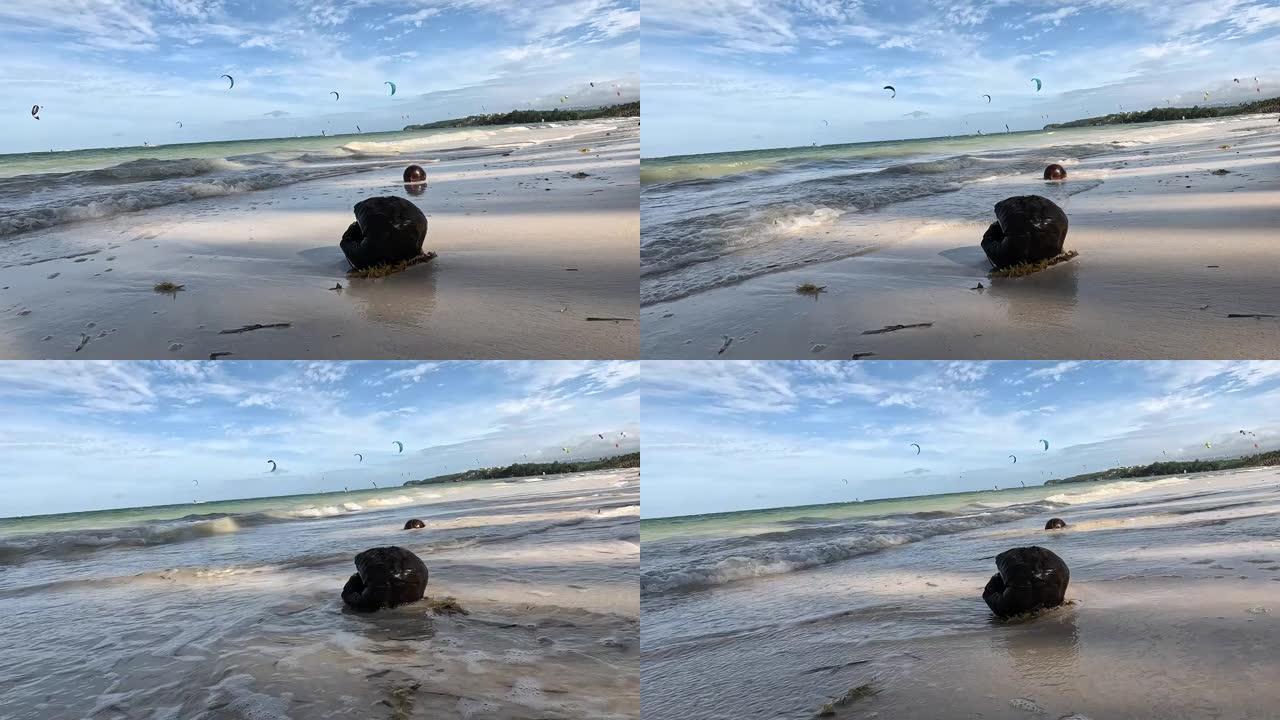 椰子在沙滩上的海浪上摇摆