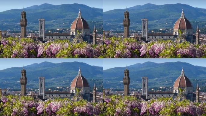 著名的圣玛丽亚大教堂、乔托的钟楼和佛罗伦萨市政厅宫殿的美丽景色，前景是盛开的紫藤。意大利