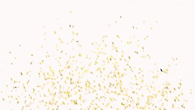 金色彩纸爆炸动画。节日的背景。庆祝和节日概念