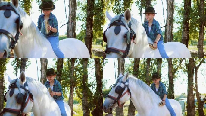 农场里的小男孩坐在一匹白马上，用刷子梳理
