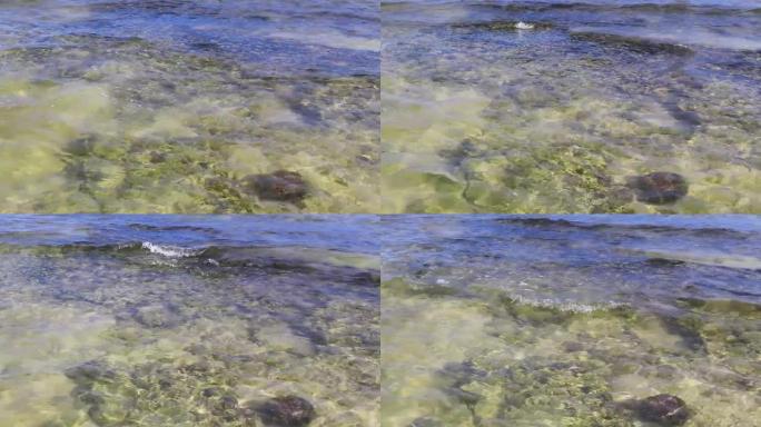 石头在墨西哥海滩上岩石珊瑚绿松石绿蓝的水。