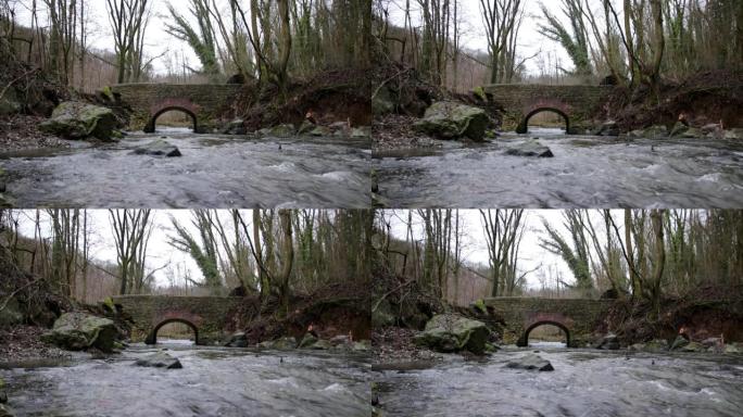 大雨过后，洪水河河摧毁了一座桥梁。洪水显示了自然的力量以及对危险天气，暴风雨，旋风，龙卷风和飓风的保