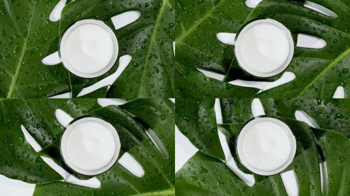 白色化妆霜，在热带树叶的背景上旋转。宏观拍摄。美容健康和皮肤护理的概念，为身体，脸部。天然有机化妆品