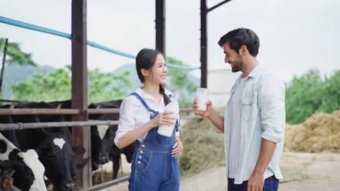 年轻的高加索男人和亚洲女奶农在牛棚里喝牛奶。两个有吸引力的农业农民拿着一瓶牛奶，在畜牧场工业里幸福地