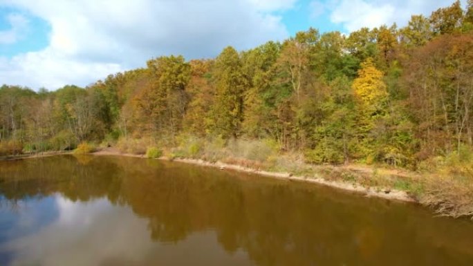 河流滨水区覆盖着彩色树木。在布朗河上的无人机镜头接近河岸上的光秃秃的树木。