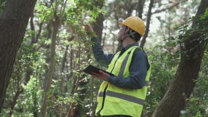 森林管理员定期检查