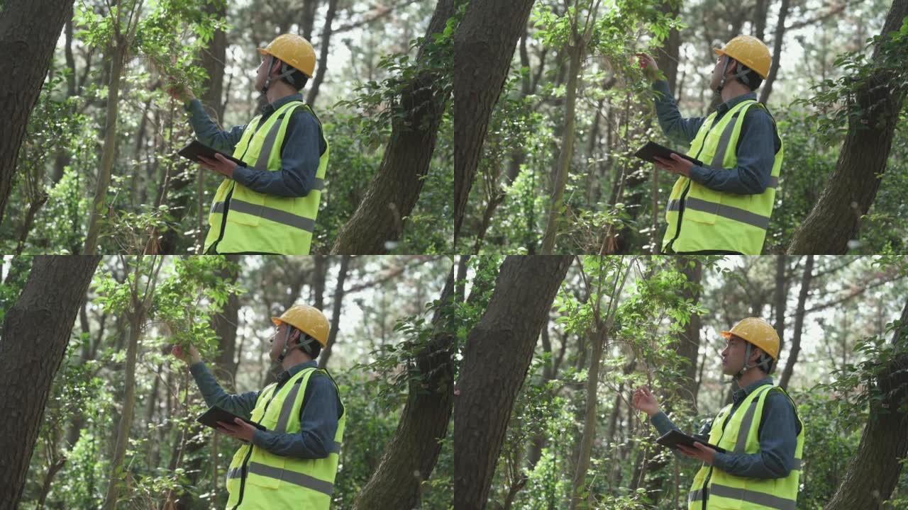 森林管理员定期检查