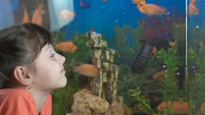 儿童观看水下鱼类。