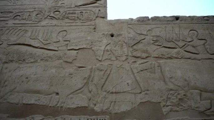卡纳克神庙卢克索埃及象形文字浅浮雕人牛在及时展示农业生活方式