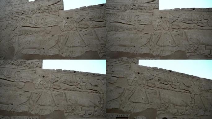 卡纳克神庙卢克索埃及象形文字浅浮雕人牛在及时展示农业生活方式